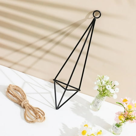 Pawsdot 4Pcs Metal Hanging Air Plant Holders Black Decorative Stand for Home