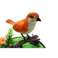 thumbnail image 2 of Singing & Chirping Bird In Cage - Realistic Sounds & Movements (Orange) BC507G Toy or Gift, 2 of 3