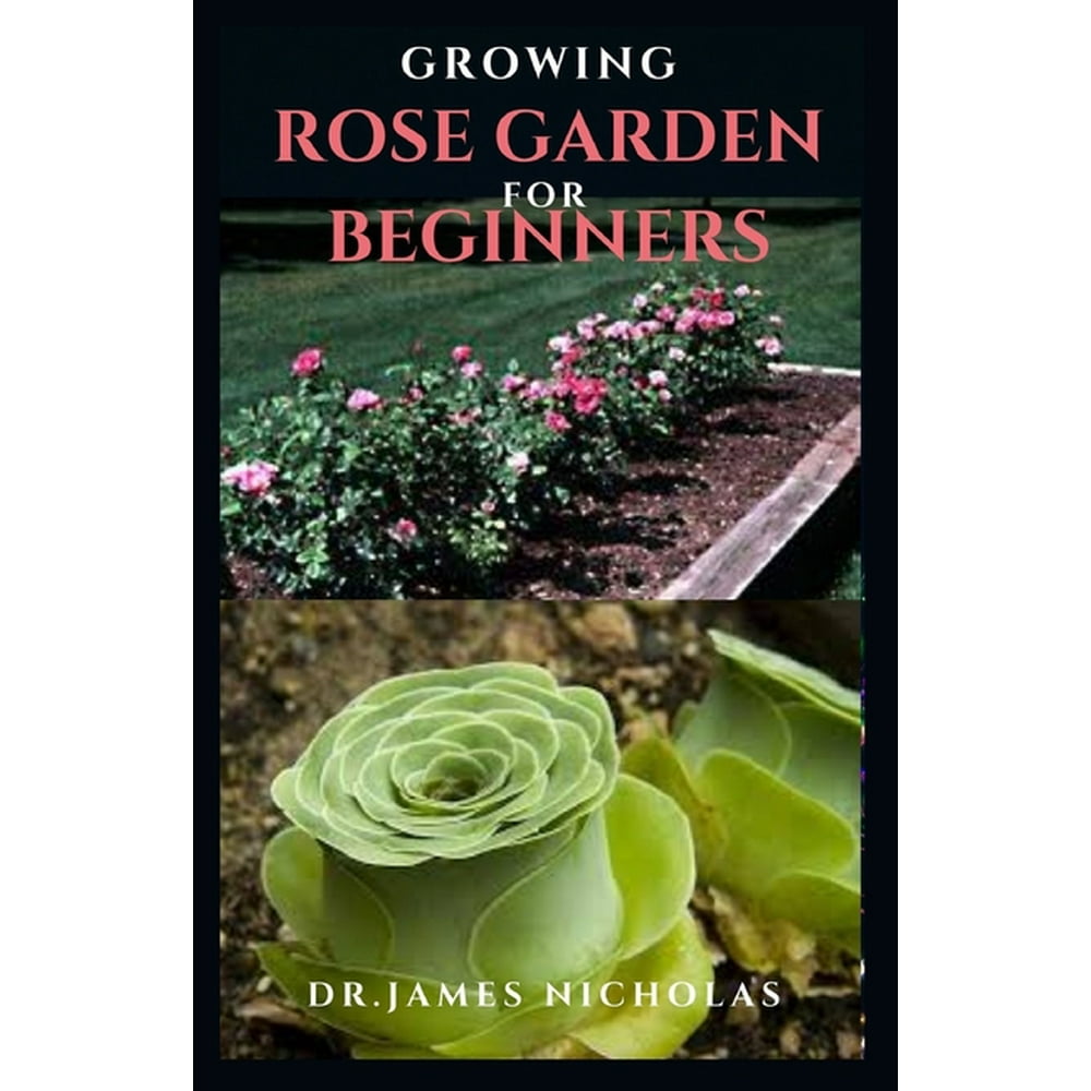 Growing Rose Garden for Beginners Step by Step Guide To Setting Up A