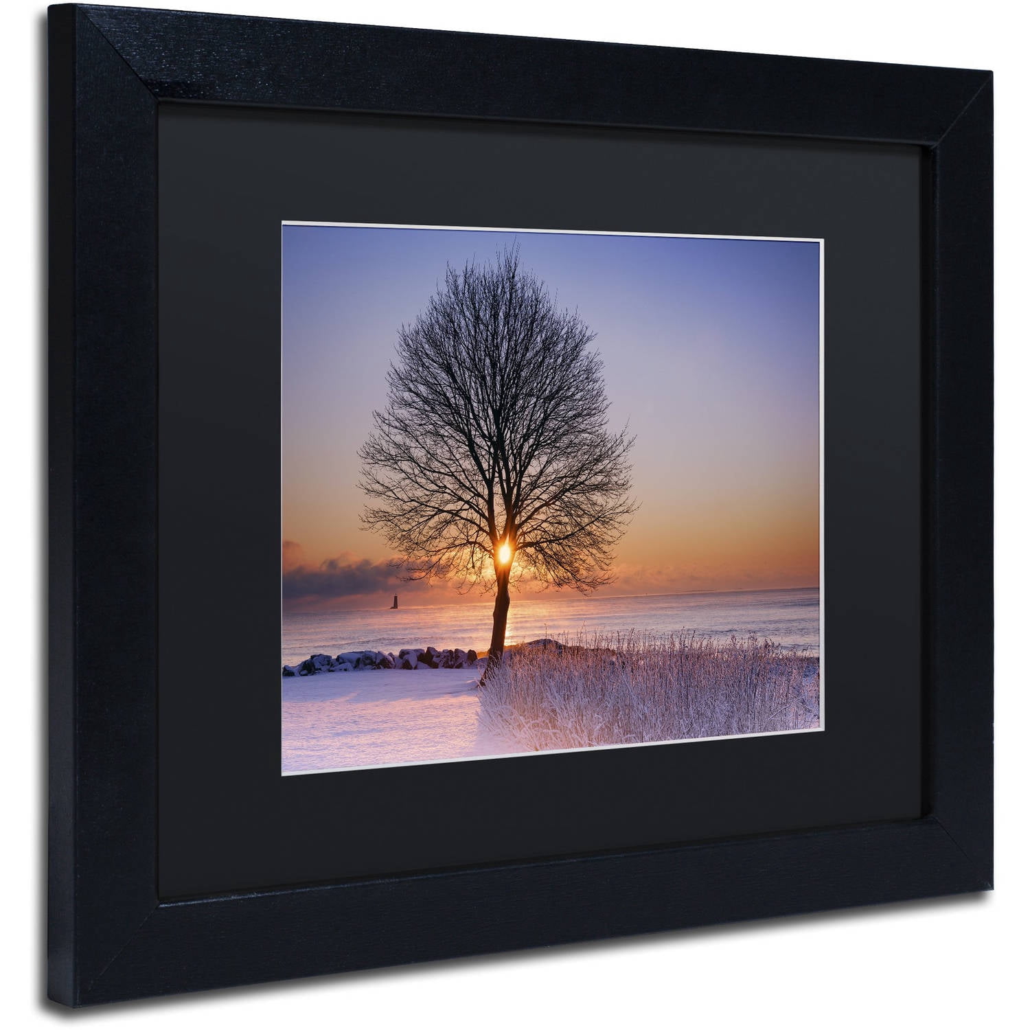 Trademark Fine Art "Tree Burst" Canvas Art by Michael Blanchette Photography Black Matte, Black Frame