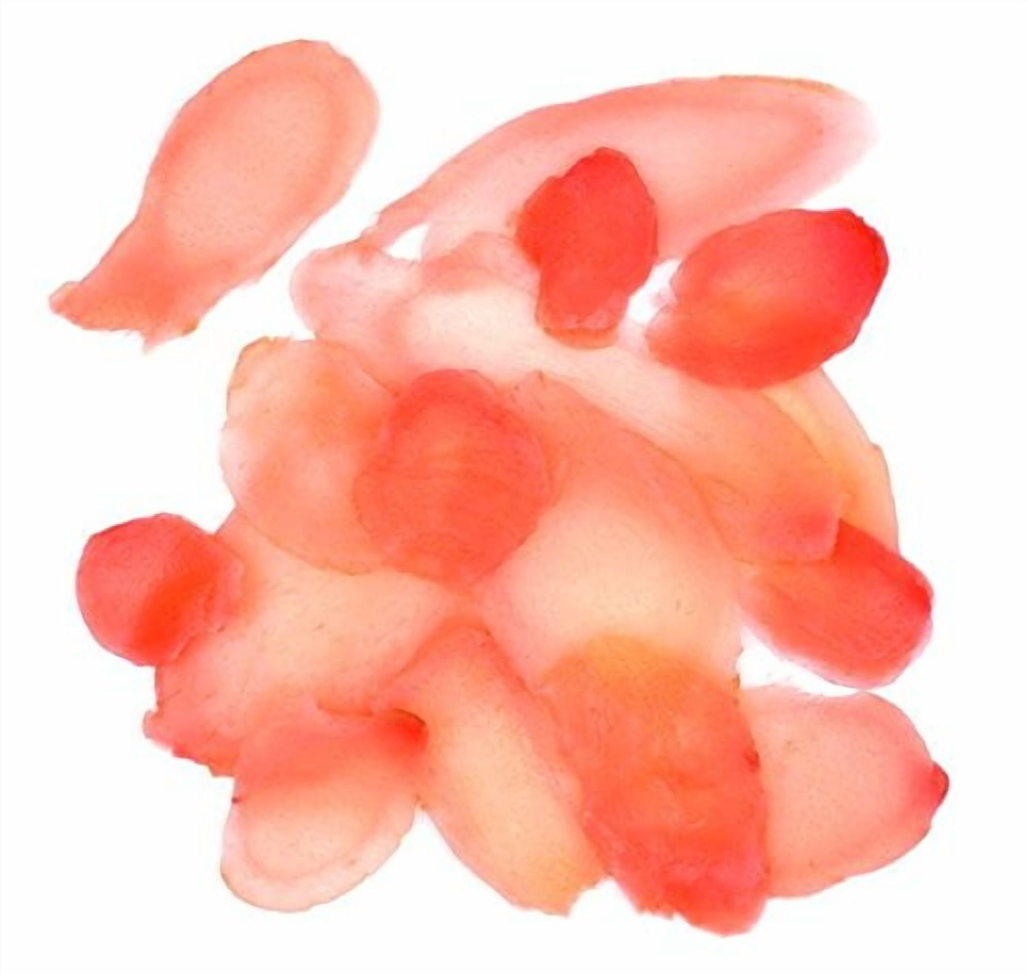 (3 pack) Roland Sushi Ginger, Sliced, 8 oz