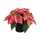 thumbnail image 2 of Planta de Pascua artificial navideña Plantas artificiales en maceta Plantas artificiales Estilo C, 2 of 9
