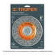 thumbnail image 2 of Carda Esmeril Truper 17524 8'' X 3/4'' CA-107, 2 of 2