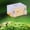 Yellow, variant on BELOVING ANT Housing Nest Acrylic ANT Farm for Gift Childrens Day Science Observation Yellow
