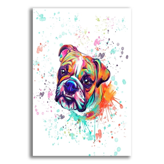 Epic Art 'Colorful Watercolor English Bulldog' by Furbaby Affiliates, Acrylic Glass Wall Art, 12"x16"