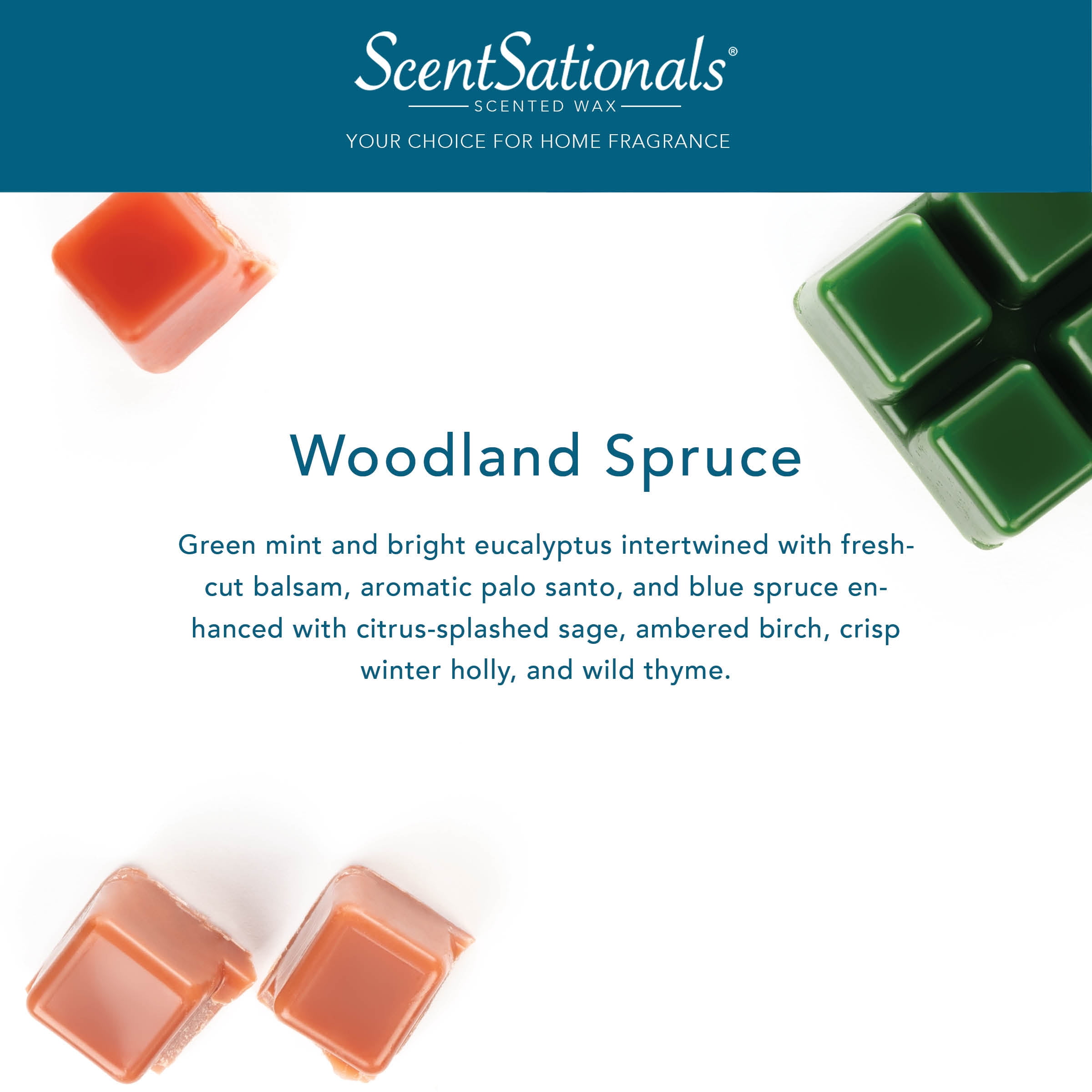Scentsationals Woodland Spruce Scented Wax Melts, 2.5oz (5-Pack)