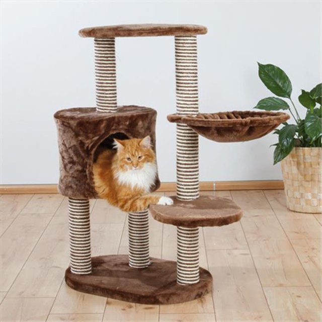 TRIXIE Produits pour Animaux 44620 Arbre à Chat Moriles - Brun