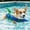 Blue, variant on Dog Life Jacket with Shark Fin Design Adjustable Buoyant Pet Swimming Vest with Rescue Handle Floatation Vest for Small Medium Dogs Pool Beach and Boating