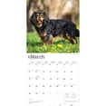 thumbnail image 3 of Cavalier King Charles Spaniels | 2026 12x24" (Hanging) Wall Calendar | Plastic-Free, 3 of 9
