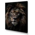 thumbnail image 2 of Designart "Monochrome Lions In Photography II" Animals Lion Canvas Wall Art, 2 of 7