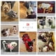 thumbnail image 5 of Jersey KYEESE para perros pequeños con pajarita para perros pequeños, 5 of 8