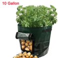 thumbnail image 1 of Matsuzay GAL Potato Grow Planter Contenedor Bolsa Bolsa Plant Growing Pot Ventana lateral Jardín y Patio Numero 3 Matsuzay HA026182-03, 1 of 6