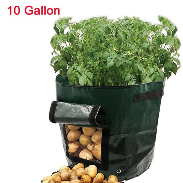 Matsuzay GAL Potato Grow Planter Contenedor Bolsa Bolsa Plant Growing Pot Ventana lateral Jardín y Patio Numero 3 Matsuzay HA026182-03