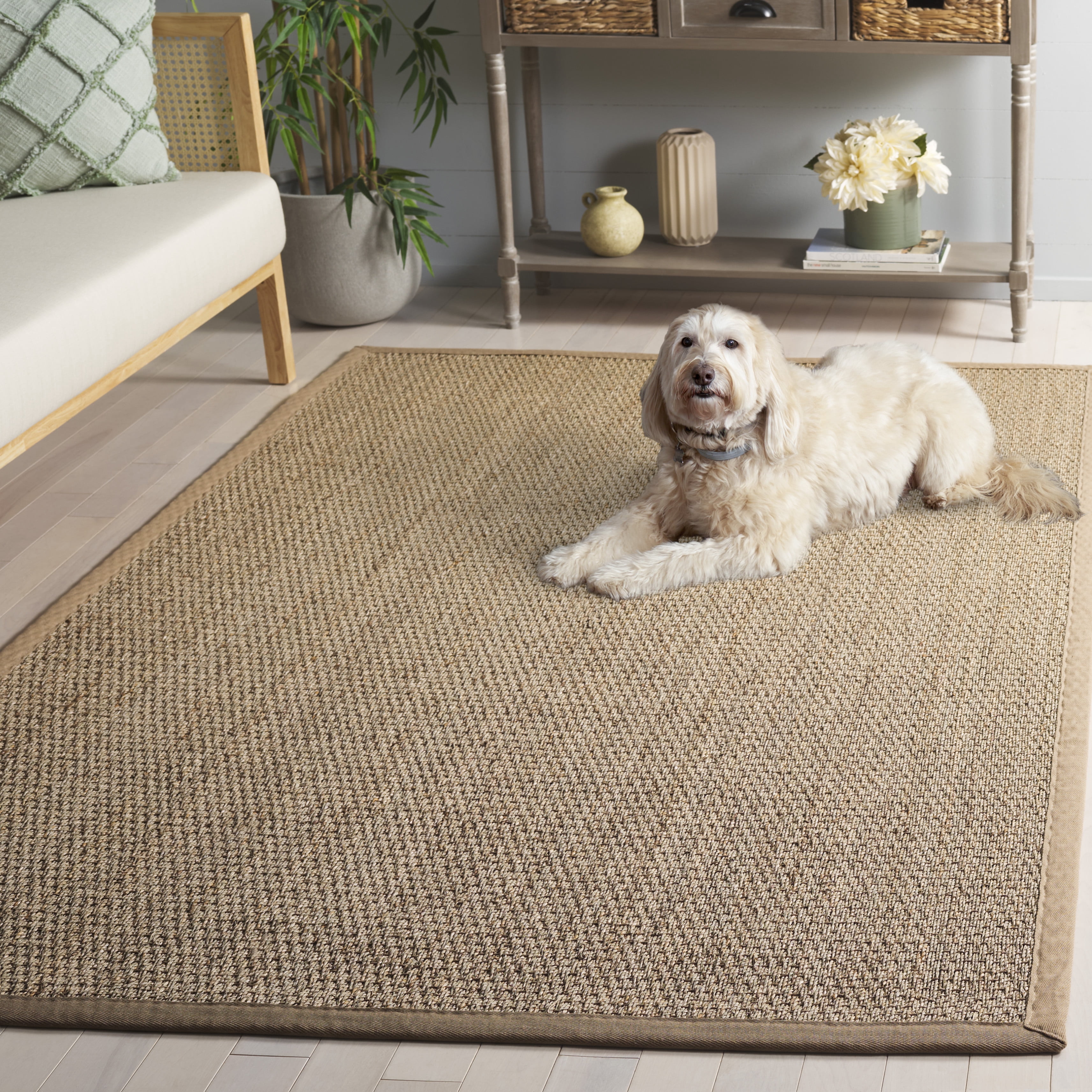 Safavieh Natural Fiber Maksim Border Area Rug, Natural/Beige, 10' x 14'