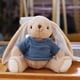 thumbnail image 1 of Fiudx Conejito de Peluche, Suave y Tierno, Regalo de Apoyo Emocional, Adorable Juguete para Amigos, Familiares y Novias, Ideal para Todas Las Edades, Ideal para Momentos Acogedores, 25 Cm., 1 of 5