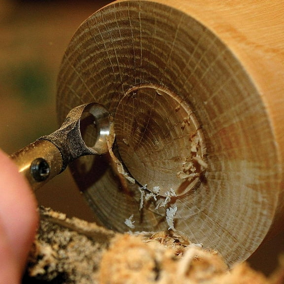 Oneway 2176 Termite Lathe Hollowing Tool Package