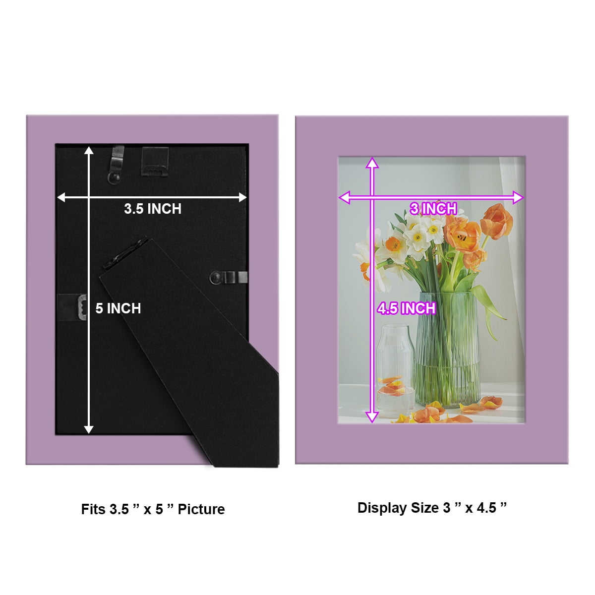 Modern 3.5 in. x 5 in. Violet Picture Frame (Set of 4)