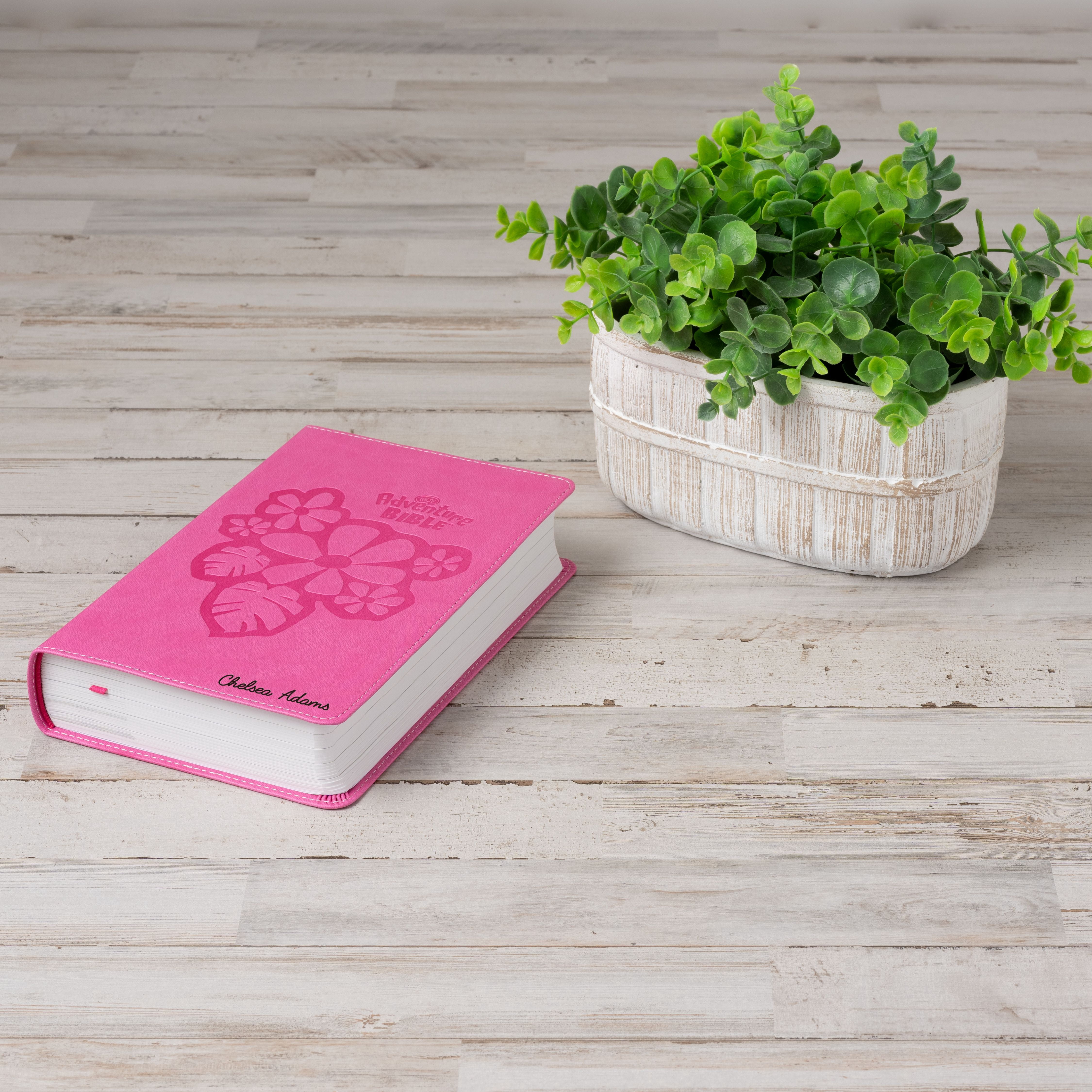 Personalized Adventure Bible for Youth, NKJV Youth Bible with Name Engraved, Early Readers Custom Bible, Christian gifts, Baptism gift