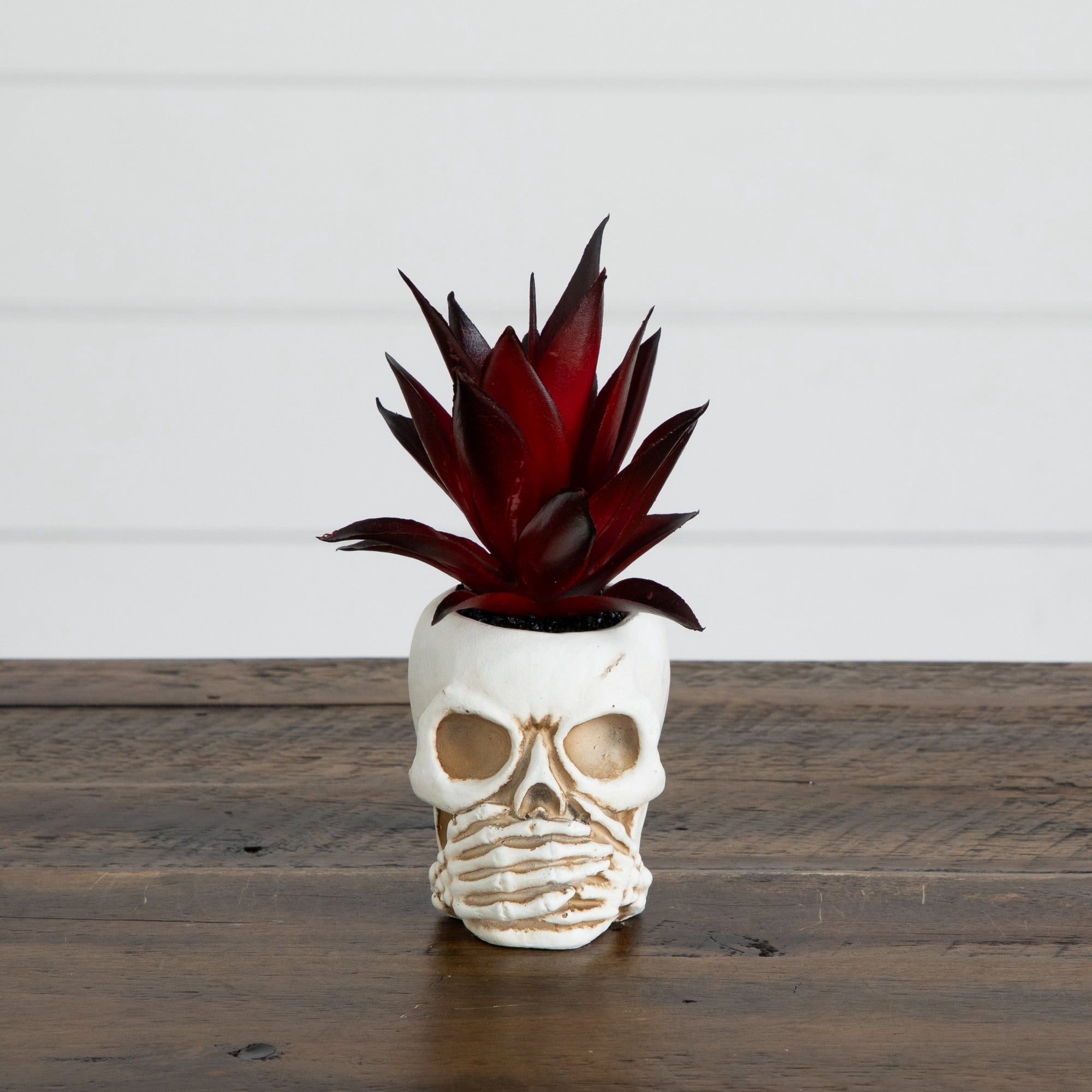 6in. Artificial Halloween Speak, Hear, See No Evil Succulent Plant Skull Decor - Set of 3