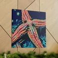 thumbnail image 6 of Starfish on the Shoreline - Canvas, 6 of 10