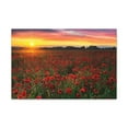 thumbnail image 3 of Beautiful Poppy Field During Sunrise Flower Canvas Wall Art for Home Decor Ready-to-Hang, 3 of 18