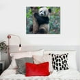 thumbnail image 5 of Nawypu  Black and White Animal Panda Wall Art, Cute Panda Poster Picture Canvas Prints Green Painting Wall Decor for Bedroom Bathroom Nursery Framed Artwork Home Decoration,, 5 of 6