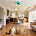 thumbnail image 5 of Automatic Lifting for Cats Swing Cat with 3 Speed Modes for 2026 | Interactive Indoor Exercise Puppy & Boring, 5 of 5