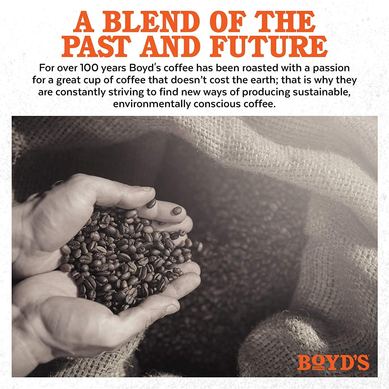 Boyds French No. 6 Coffee Pods Dark Roast 72 Count Single Cup