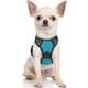 thumbnail image 1 of Rabbitgoo Arnés para Perros, Arnés para Mascotas sin Tirones con 2 Clips para Correa, Chaleco para Perros Acolchado Suave y Ajustable, Chaleco Oxford Reflectante para Mascotas sin asfixia con asa de f, 1 of 4
