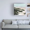 thumbnail image 3 of Annie Warren 'Beach Path I' Canvas Art, 3 of 4