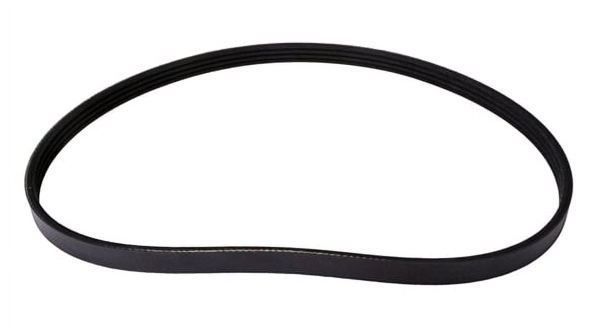 Automotive Multi-V Stretch Belt