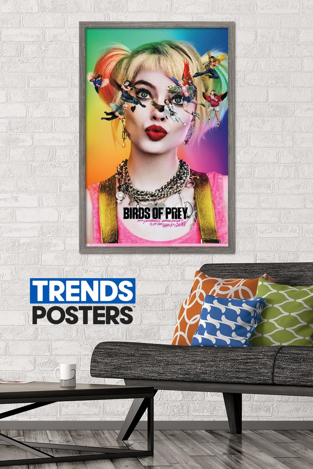 DC Comics Movie - Birds Of Prey - Teaser Wall Poster, 22.375" x 34", Framed