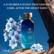 thumbnail image 4 of Perfume Azha Perfumes Eternal Nights Eternal Nights para mujer, 100 ml, 4 of 8