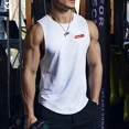 thumbnail image 2 of 2024 Nueva camiseta sin mangas deportiva de fitness para entrenamiento físico de hombres, camiseta sin mangas de secado rápido para hombres, camiseta sin mangas para correr de verano, 2 of 5