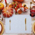 thumbnail image 3 of Light Blue Placemats Set of 4, Rustic Farmhouse Solid Color Washable Wipeable Table Mats for Dining Tables, Indoor Outdoor Kitchen Place Mats for Holiday Party Table Decor, 3 of 9