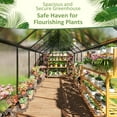 thumbnail image 2 of MUCHANT 6x11 FT Greenhouse for Outdoors, Walk-in Large Aluminum Frame Greenhouse with Quick Setup Structure and Roof Vent for Garden Backyard, Black, 2 of 7