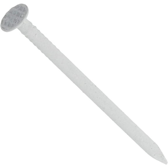 Hillman Fastener 42074 Ss Trim Nail, 1-1/4", White 6 oz