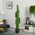 thumbnail image 2 of Nearly Natural 6.5' Plastic Cactus Artificial Plant, Green, 2 of 2