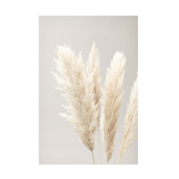 1x Studio III 'Pampas Grass Grey 02' Canvas Art