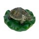 thumbnail image 4 of Decoración de estanque flotante Adorno de tortuga flotante Figura de tortuga de simulación, 4 of 6