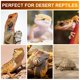 thumbnail image 4 of Bombillas UVB para reptiles Jugbuy 10.0, 23 W, espiral compacta, paquete de 2, 4 of 6