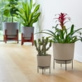 thumbnail image 2 of Bloem Powder Coated Round Polypropylene, Plastic and Resin Planter & Stand Set, 2 of 10