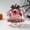 C, variant on Gumesh Halloween Decoration Acrylic Pink Pumpkin Sign Pumpkin Table Decor 4 Inch Happy Halloween Desktop Ornament for Farmhouse Home Living Room Holiday Decor