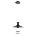 thumbnail image 3 of Radiant 1 Light Pendant in Black, 3 of 6