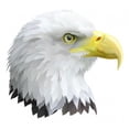 thumbnail image 2 of Eagle Wall Decal by Wallmonkeys Peel and Stick Graphic (18 in W x 17 in H) WM291035, 2 of 4