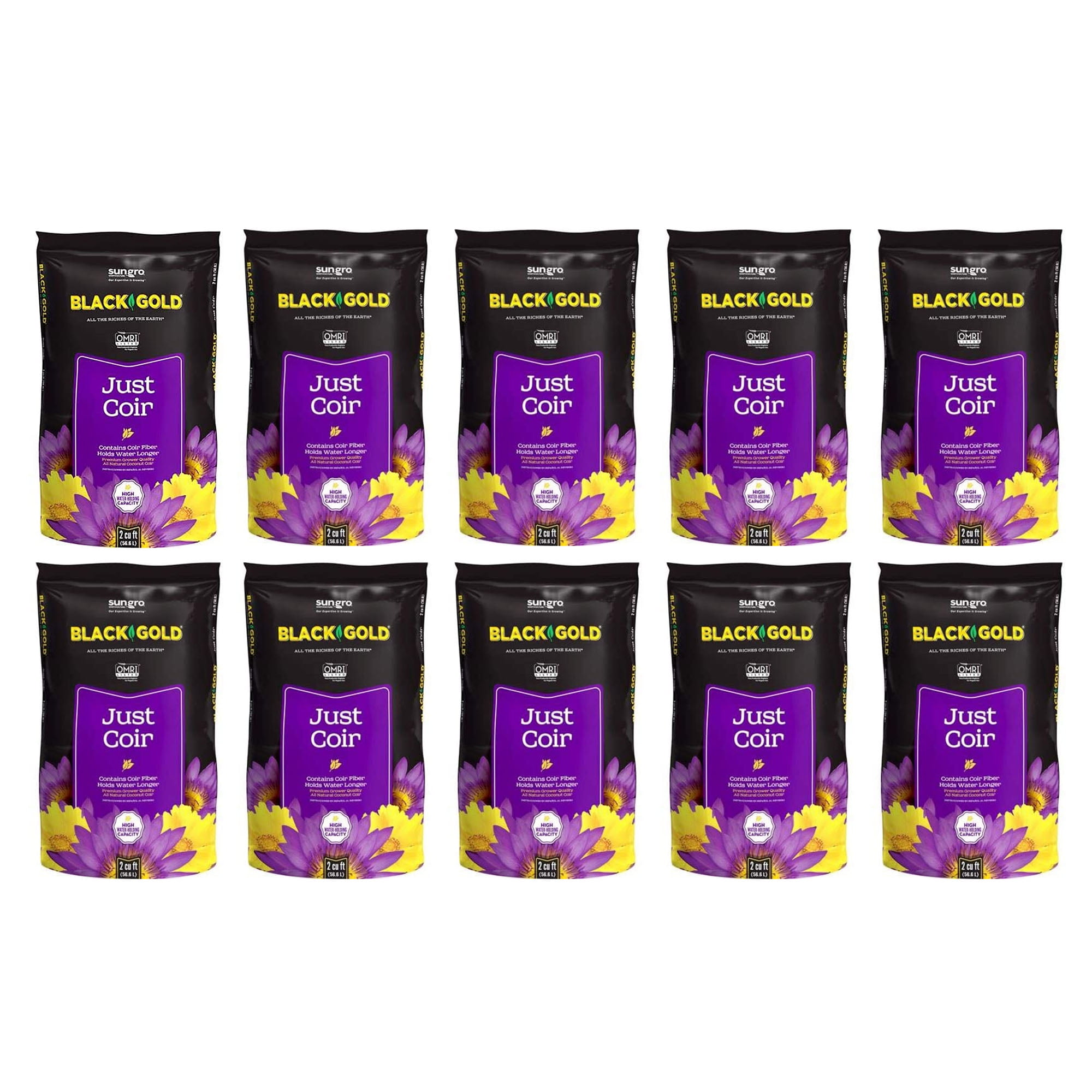 black gold dog food walmart