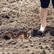 thumbnail image 5 of Broma de serpiente con clip de cuerda - Broma de serpiente con clip, broma de serpiente con una cuerda que persigue a la gente, broma de serpiente de golf con cuerda y clip, juguete de broma de, 5 of 6