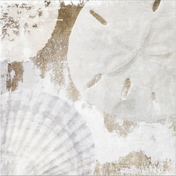 Art.com White Shells I Stretched Canvas Print Wall Art by Irena Orlov, 24" x 24"