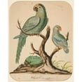thumbnail image 2 of Charles Demuth 15x18 Black Ornate Wood Framed Double Matted Museum Art Print Titled - Two Parrots on a Barren&nbsp;Tree (ca.&nbsp;1916), 2 of 5