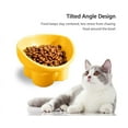 thumbnail image 4 of Cuencos elevados para gatos, cuenco elevado de cerámica para comida para gatos, para proteger la columna vertebral de las mascotas, color naranja, 4 of 6